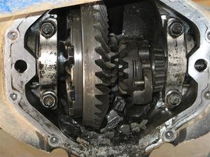 Rear differential noise is a usual indication of a lubrication or gear alignment problem.